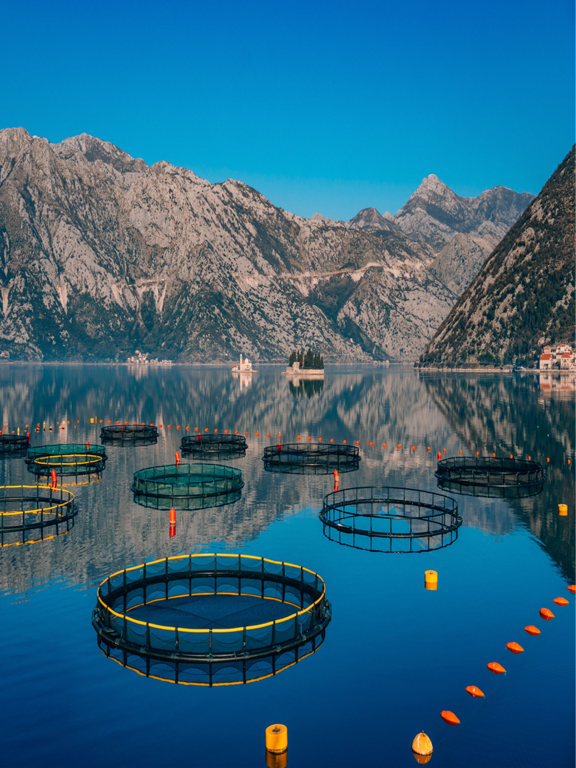 Proteccion Estructural