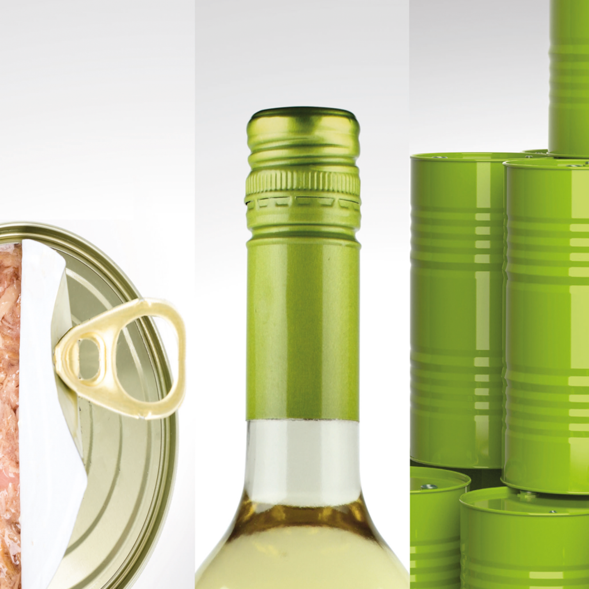 Proteccion Estructural